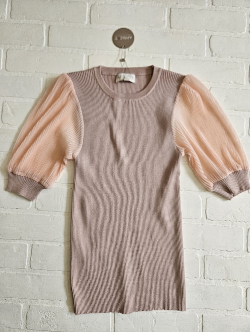 Contrast Sheer Short Sleeve Sweater
